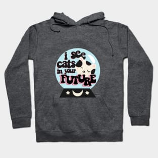 I see cats in your future Hoodie